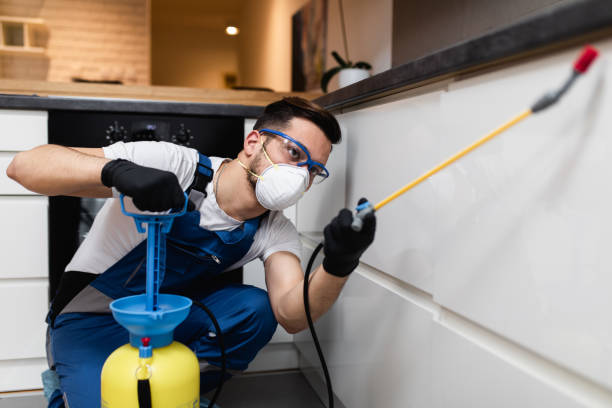 Best Pest Prevention Services  in Broomfield, CO