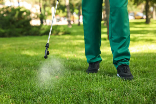 Best Affordable Pest Control Services  in Broomfield, CO