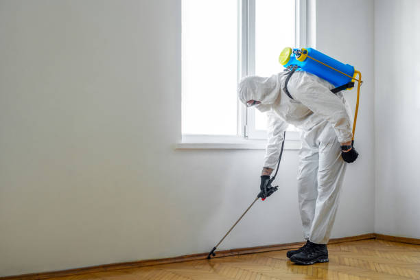 Best Pest Control Near Me  in Broomfield, CO