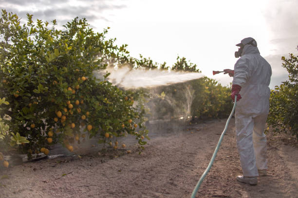 Best Pest Control for Homes  in Broomfield, CO