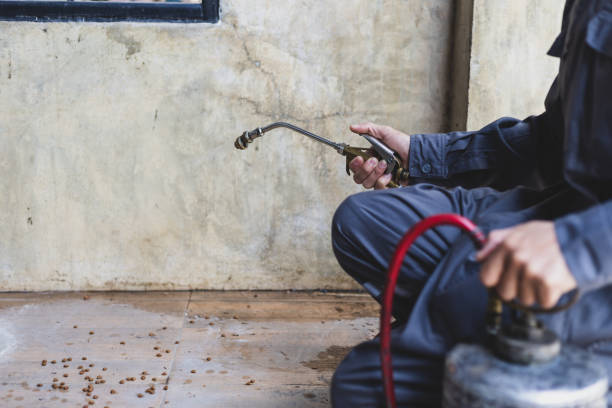 Best Pest Control Near Me in Broomfield, CO